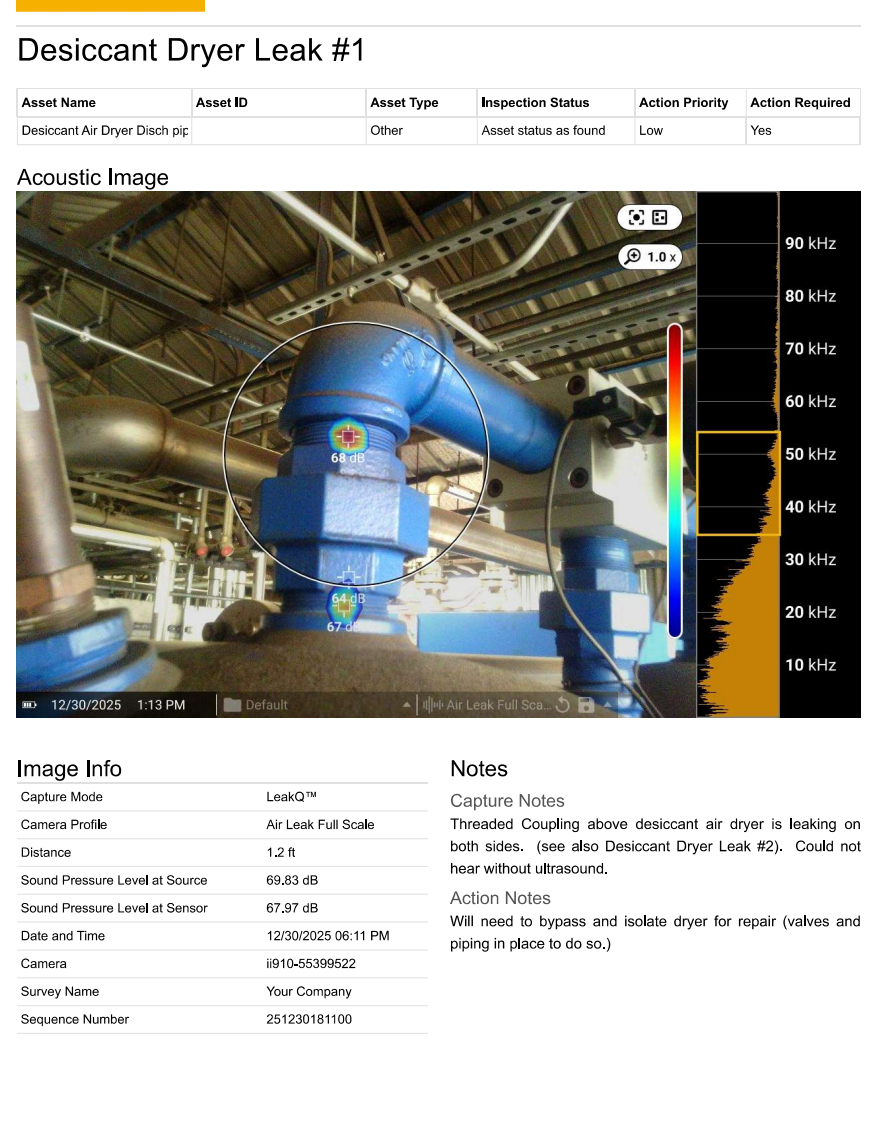 Sample compressed air leak report page thumbnail